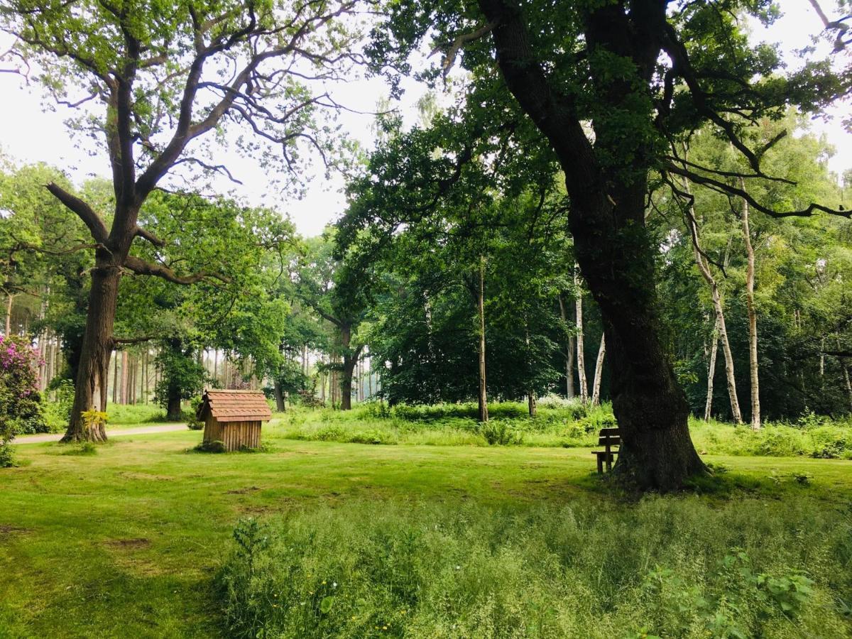 Hollicarrs - Stag Lodge ヨーク エクステリア 写真