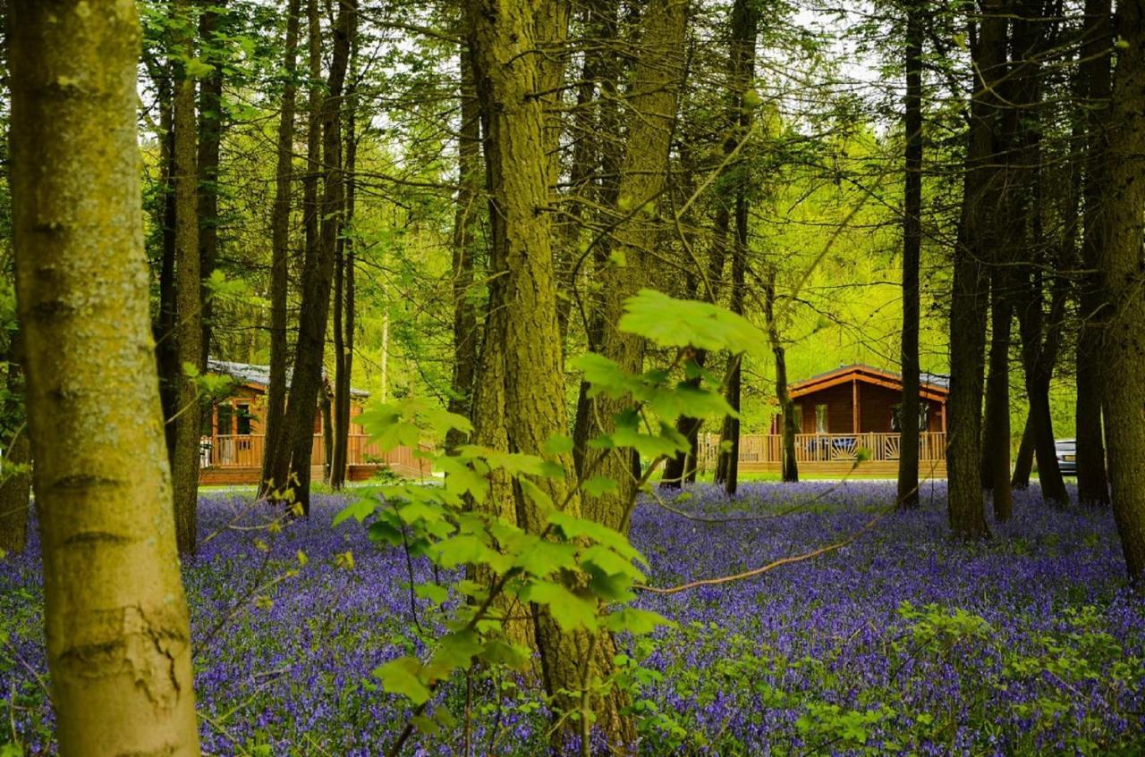 Hollicarrs - Stag Lodge ヨーク エクステリア 写真
